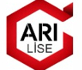 Arı Lise